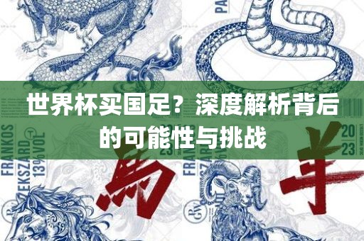 世界杯买国足？深度解析背后的可能性与挑战