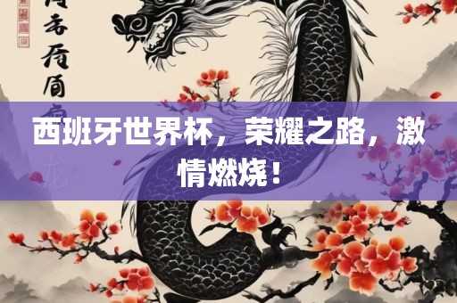 西班牙世界杯，荣耀之路，激情燃烧！