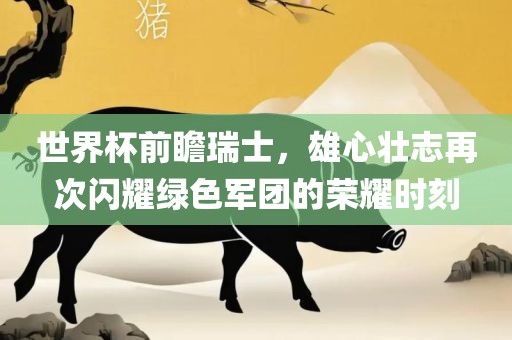 世界杯前瞻瑞士，雄心壮志再次闪耀绿色军团的荣耀时刻