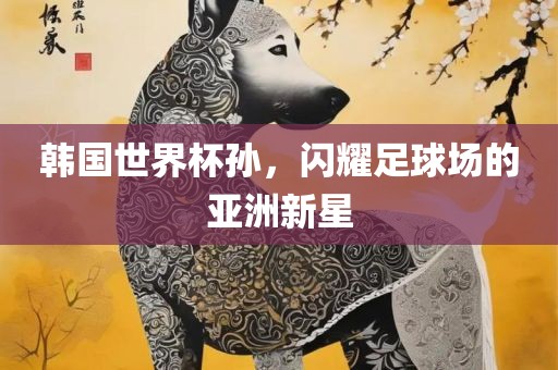 韩国世界杯孙，闪耀足球场的亚洲新星