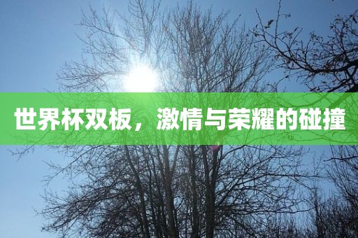 世界杯双板，激情与荣耀的碰撞