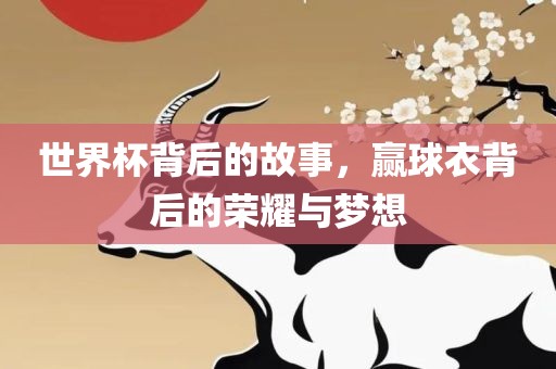 世界杯背后的故事，赢球衣背后的荣耀与梦想