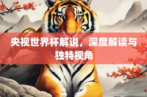 央视世界杯解说，深度解读与独特视角