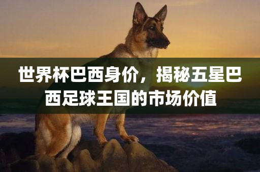 世界杯巴西身价，揭秘五星巴西足球王国的市场价值