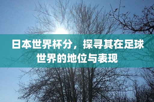 日本世界杯分，探寻其在足球世界的地位与表现