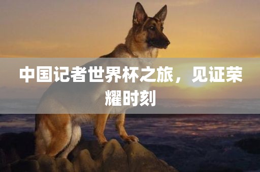 中国记者世界杯之旅，见证荣耀时刻