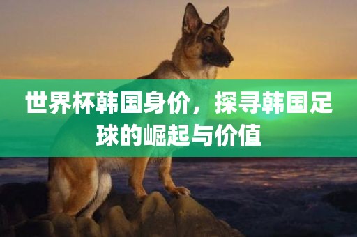 世界杯韩国身价，探寻韩国足球的崛起与价值