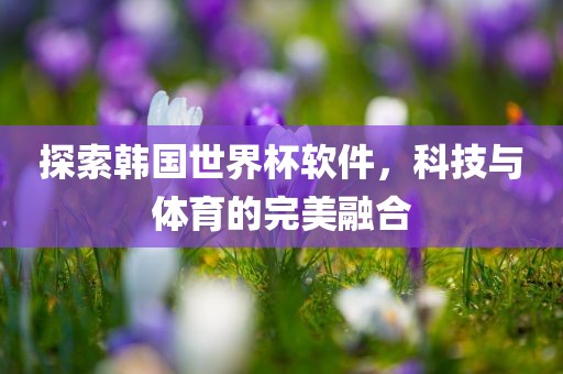 探索韩国世界杯软件，科技与体育的完美融合