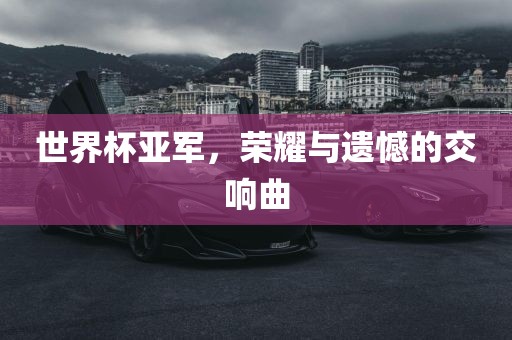 世界杯亚军，荣耀与遗憾的交响曲