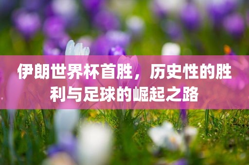 伊朗世界杯首胜，历史性的胜利与足球的崛起之路