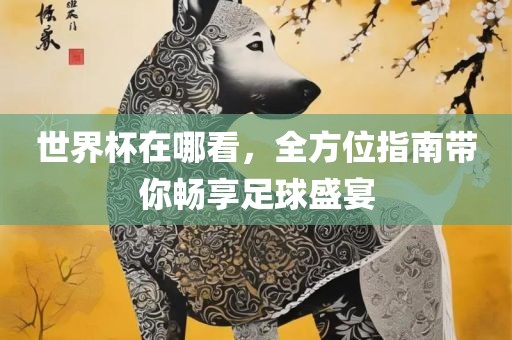 世界杯在哪看，全方位指南带你畅享足球盛宴