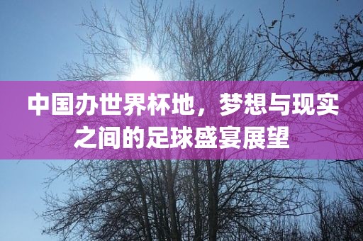 中国办世界杯地，梦想与现实之间的足球盛宴展望