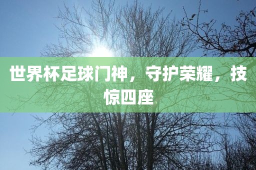 世界杯足球门神，守护荣耀，技惊四座