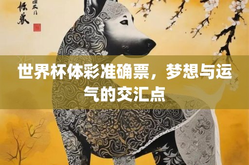 世界杯体彩准确票，梦想与运气的交汇点