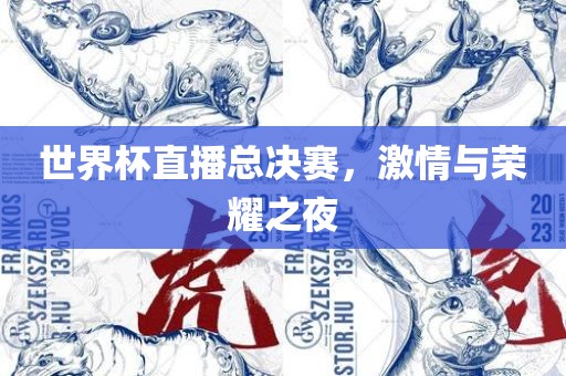 世界杯直播总决赛，激情与荣耀之夜